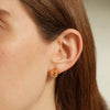 Bubble Magic Studs