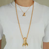 Rockeye Long Chain