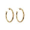 Trufa Medium Hoops