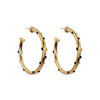 Trufa Medium Hoops