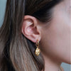 Anatomik Hoops