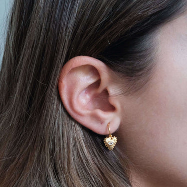 EyeWitness Baby Hoops