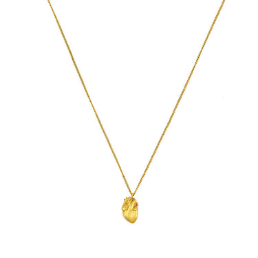 Cadena Anatomik Mini