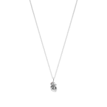 Cadena Anatomik Mini Plata